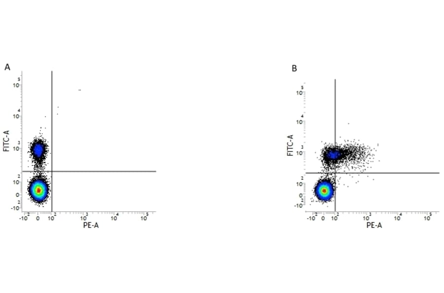 Flow Cytometry - Anti-CD79b Antibody [AT105-1] (PE) (A279691) - Antibodies.com