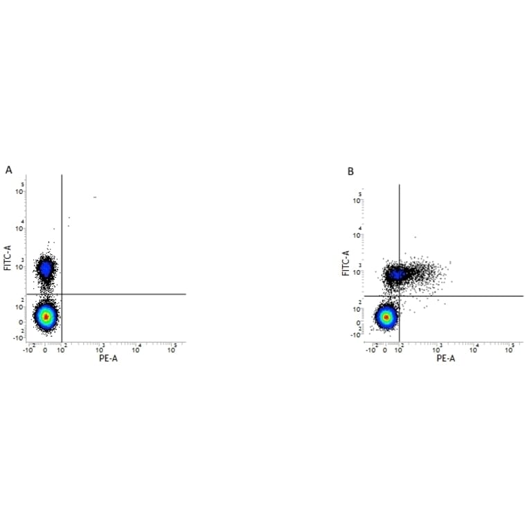 Flow Cytometry - Anti-CD79b Antibody [AT105-1] (PE) (A279691) - Antibodies.com