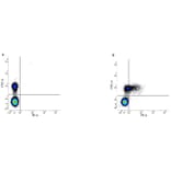 Flow Cytometry - Anti-CD79b Antibody [AT105-1] (PE) (A279691) - Antibodies.com