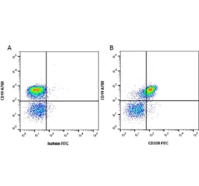 Flow Cytometry - Anti-CD32 Antibody [AT130-5] (FITC) (A279704) - Antibodies.com