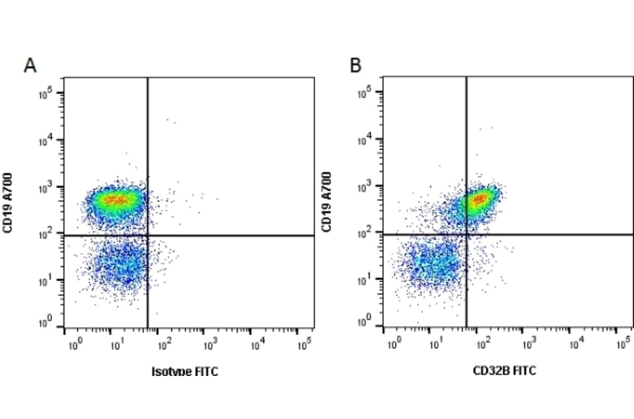 Flow Cytometry - Anti-CD32 Antibody [AT130-5] (FITC) (A279704) - Antibodies.com