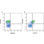 Flow Cytometry - Anti-CD32 Antibody [AT130-5] (FITC) (A279704) - Antibodies.com