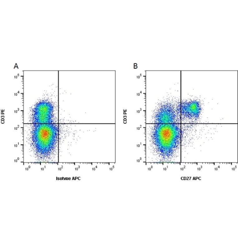 Flow Cytometry - Anti-CD27 Antibody [B30C7] (APC) (A279756) - Antibodies.com