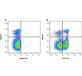 Flow Cytometry - Anti-CD27 Antibody [B30C7] (FITC) (A279757) - Antibodies.com