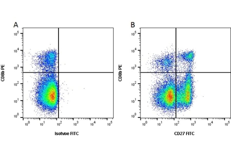 Flow Cytometry - Anti-CD27 Antibody [B30C7] (FITC) (A279757) - Antibodies.com