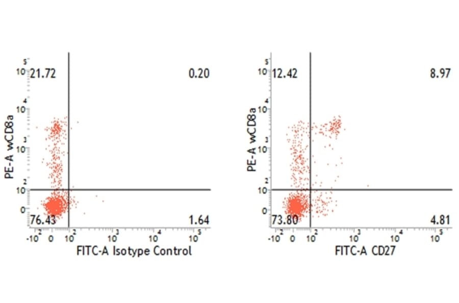 Flow Cytometry - Anti-CD27 Antibody [B30C7] (FITC) (A279757) - Antibodies.com