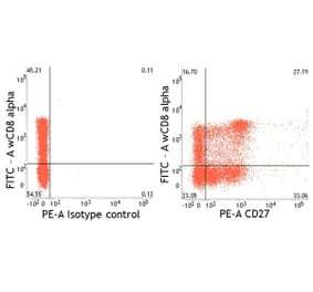 Flow Cytometry - Anti-CD27 Antibody [B30C7] (PE) (A279758) - Antibodies.com