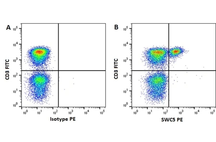 Flow Cytometry - Anti-SWC5 Antibody [b37c10] (PE) (A279766) - Antibodies.com