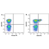 Flow Cytometry - Anti-SWC5 Antibody [b37c10] (PE) (A279766) - Antibodies.com