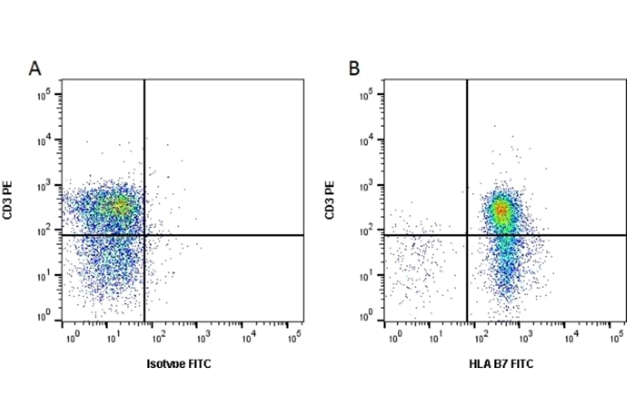 Flow Cytometry - Anti-HLA B7 Antibody [BB7.1] (FITC) (A279790) - Antibodies.com