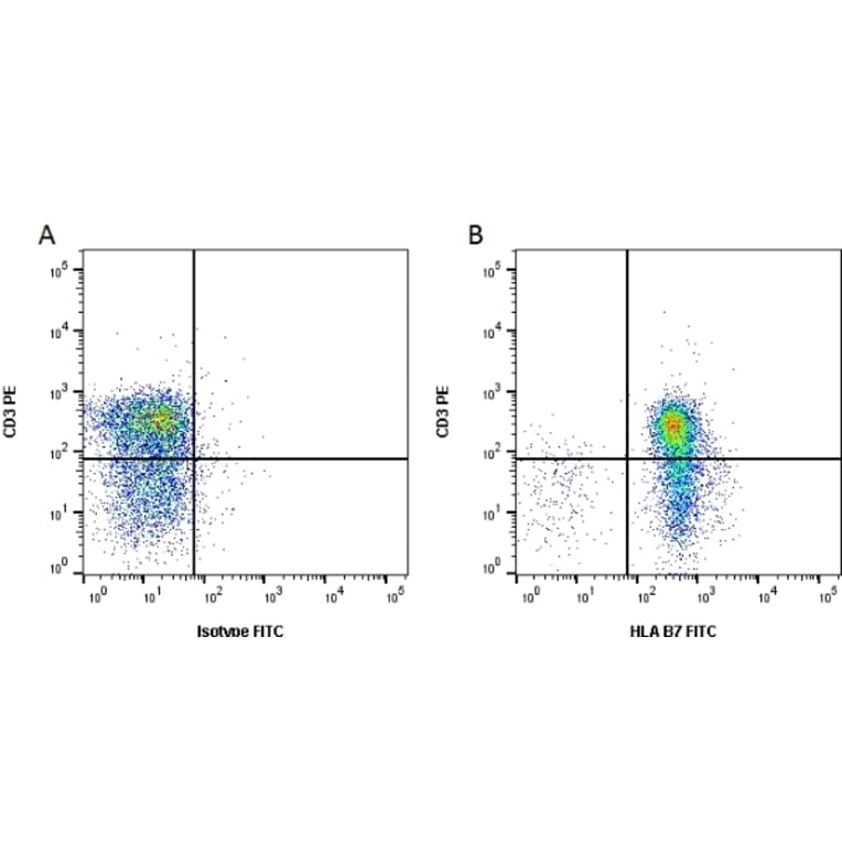 Flow Cytometry - Anti-HLA B7 Antibody [BB7.1] (FITC) (A279790) - Antibodies.com