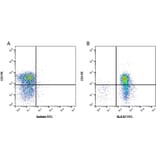 Flow Cytometry - Anti-HLA B7 Antibody [BB7.1] (FITC) (A279790) - Antibodies.com