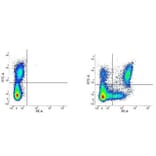 Flow Cytometry - Anti-CD11c Antibody [BU15] (PE) (A279879) - Antibodies.com
