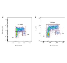Flow Cytometry - Anti-BrdU Antibody [Bu20a] (A279885) - Antibodies.com