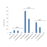 Cross-Reactivity - Anti-BrdU Antibody [Bu20a] (A279885) - Antibodies.com