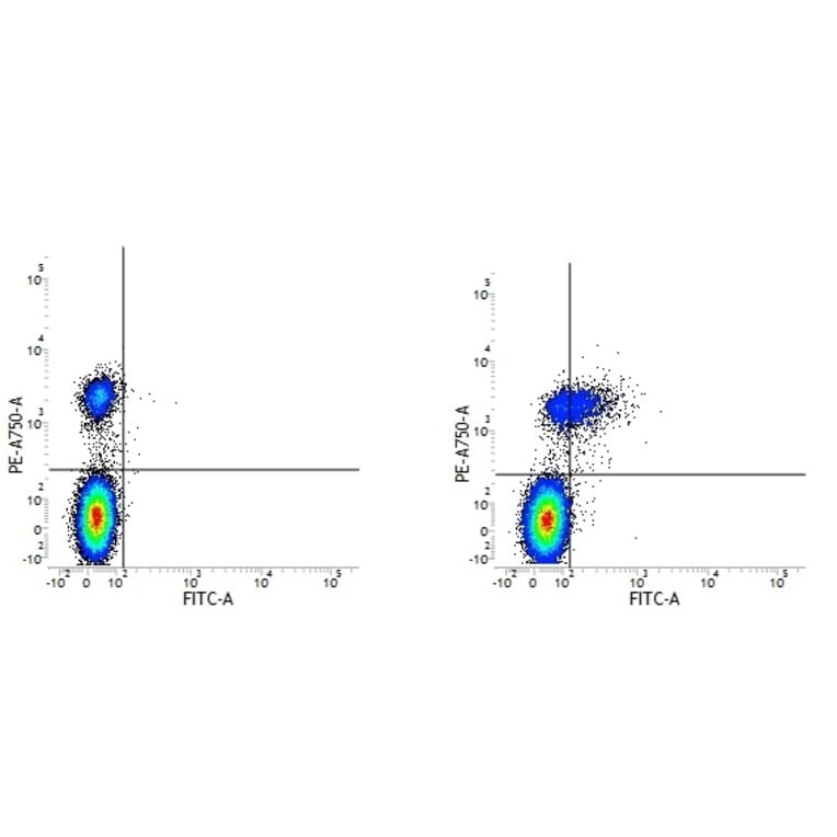 Flow Cytometry - Anti-CD74 Antibody [Bu45] (FITC) (A279894) - Antibodies.com