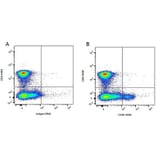Flow Cytometry - Anti-CD8 beta Antibody [CA15.4G2] (A279973) - Antibodies.com