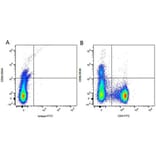 Flow Cytometry - Anti-CD8 beta Antibody [CA15.4G2] (A279973) - Antibodies.com