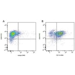 Flow Cytometry - Anti-CD11b Antibody [CA16.3E10] (A279974) - Antibodies.com