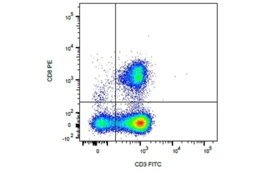 Flow Cytometry - Anti-CD3 Antibody [CA17.2A12] (FITC) / Anti-CD8 Antibody [YCATE55.9] (PE) (A279977) - Antibodies.com