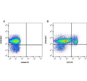 Flow Cytometry - Anti-CD21 Antibody [CA2.1D6] (PE) (A279981) - Antibodies.com