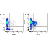 Flow Cytometry - Anti-CD21 Antibody [CA2.1D6] (PE) (A279981) - Antibodies.com