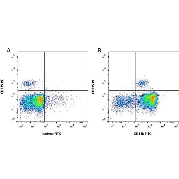 Flow Cytometry - Anti-CD11b Antibody [CC126] (FITC) (A280001) - Antibodies.com