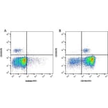 Flow Cytometry - Anti-CD11b Antibody [CC126] (FITC) (A280001) - Antibodies.com