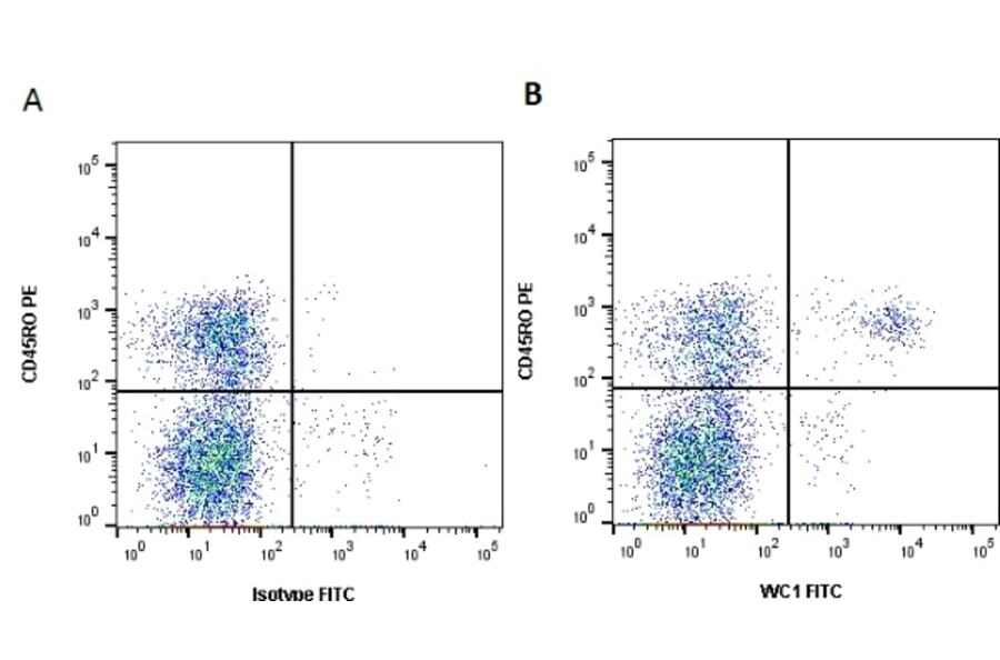 Flow Cytometry - Anti-WC1 Antibody [CC15] (FITC) (A280008) - Antibodies.com