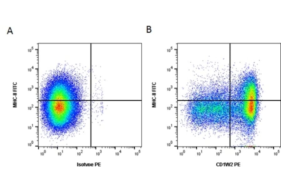 Flow Cytometry - Anti-CD1w2 Antibody [CC20] (PE) (A280013) - Antibodies.com