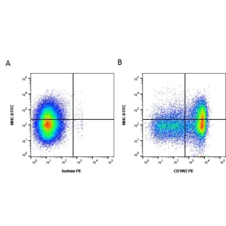 Flow Cytometry - Anti-CD1w2 Antibody [CC20] (PE) (A280013) - Antibodies.com
