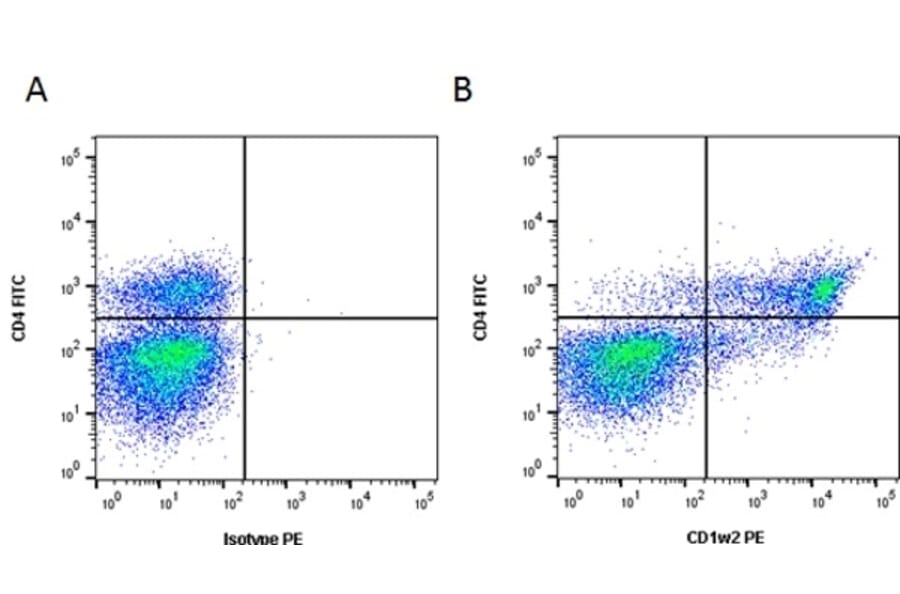 Flow Cytometry - Anti-CD1w2 Antibody [CC20] (PE) (A280013) - Antibodies.com