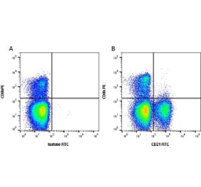 Flow Cytometry - Anti-CD21 Antibody [CC21] (FITC) (A280015) - Antibodies.com