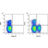 Flow Cytometry - Anti-CD21 Antibody [CC21] (FITC) (A280015) - Antibodies.com