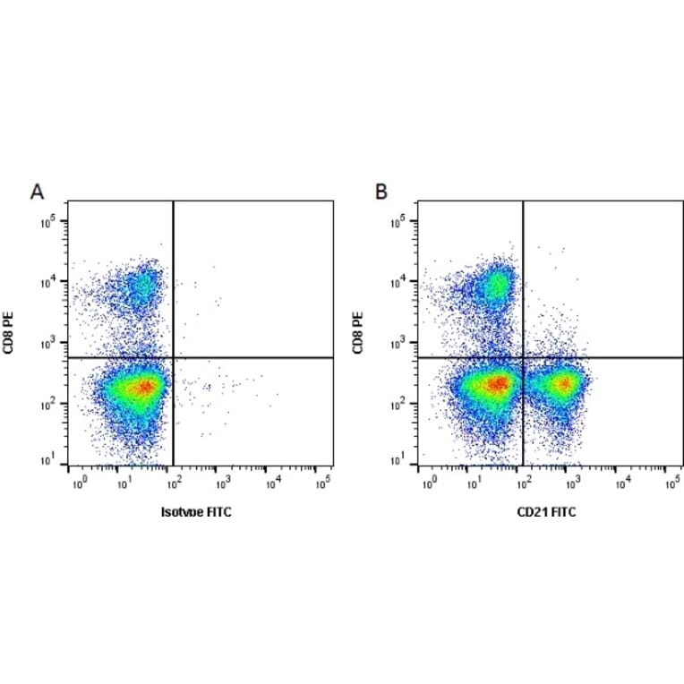 Flow Cytometry - Anti-CD21 Antibody [CC21] (FITC) (A280015) - Antibodies.com