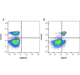 Flow Cytometry - Anti-CD28 Antibody [CC219] (PE) (A280019) - Antibodies.com