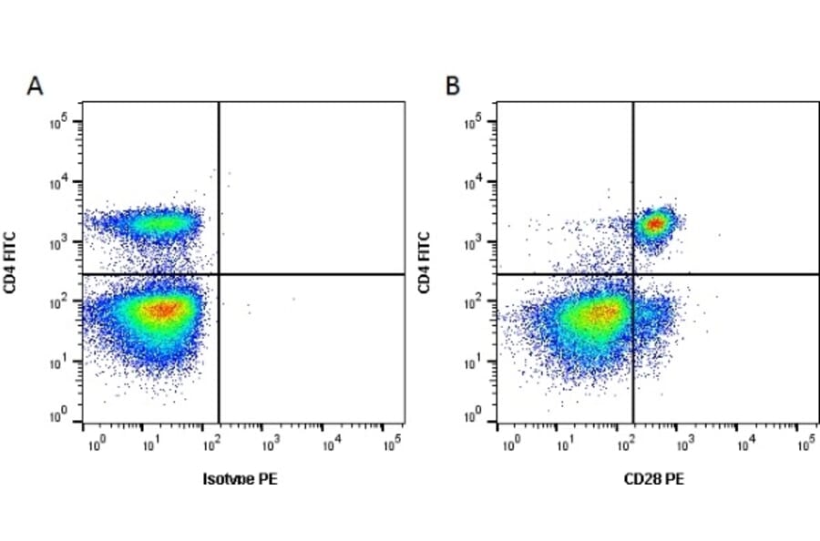 Flow Cytometry - Anti-CD28 Antibody [CC219] (PE) (A280019) - Antibodies.com