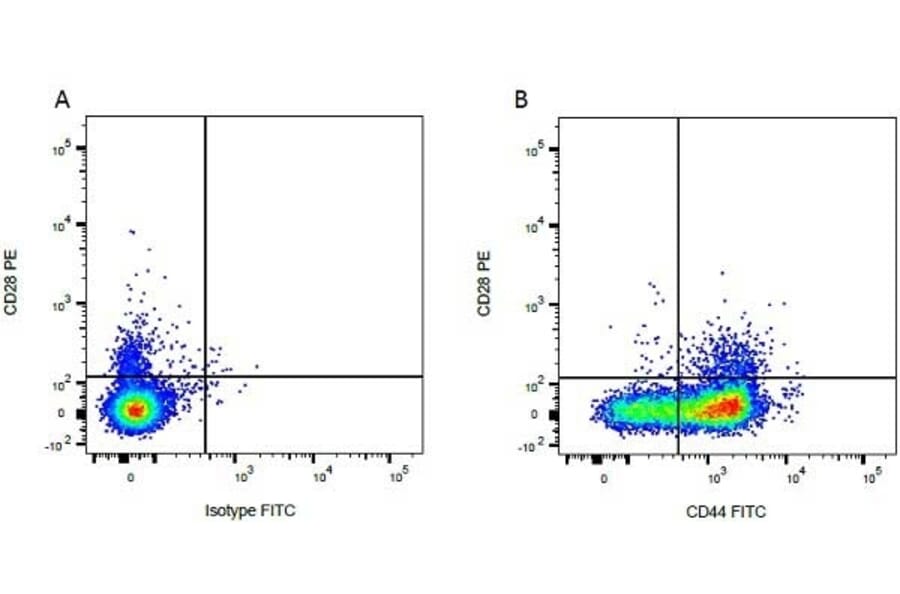 Flow Cytometry - Anti-CD28 Antibody [CC219] (PE) (A280019) - Antibodies.com