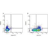 Flow Cytometry - Anti-CD28 Antibody [CC219] (PE) (A280019) - Antibodies.com