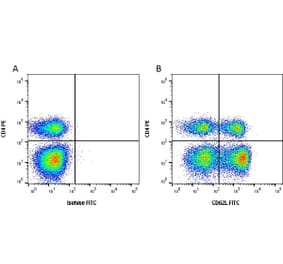 Flow Cytometry - Anti-CD62L Antibody [CC32] (FITC) (A280038) - Antibodies.com