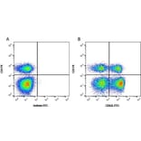 Flow Cytometry - Anti-CD62L Antibody [CC32] (FITC) (A280038) - Antibodies.com