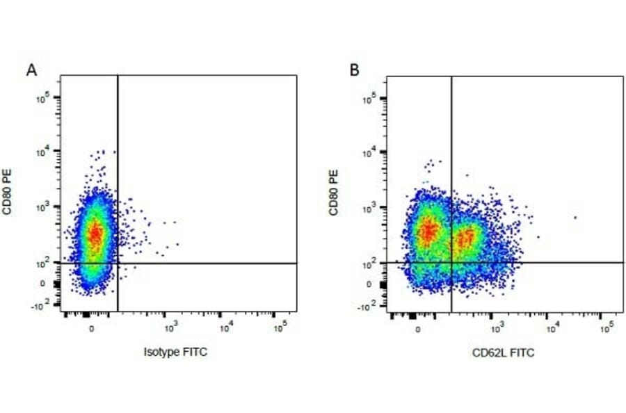 Flow Cytometry - Anti-CD62L Antibody [CC32] (FITC) (A280038) - Antibodies.com