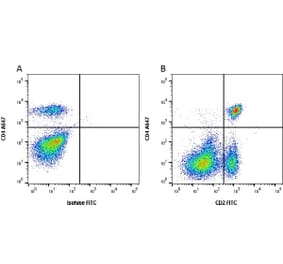 Flow Cytometry - Anti-CD2 Antibody [CC42] (FITC) (A280048) - Antibodies.com