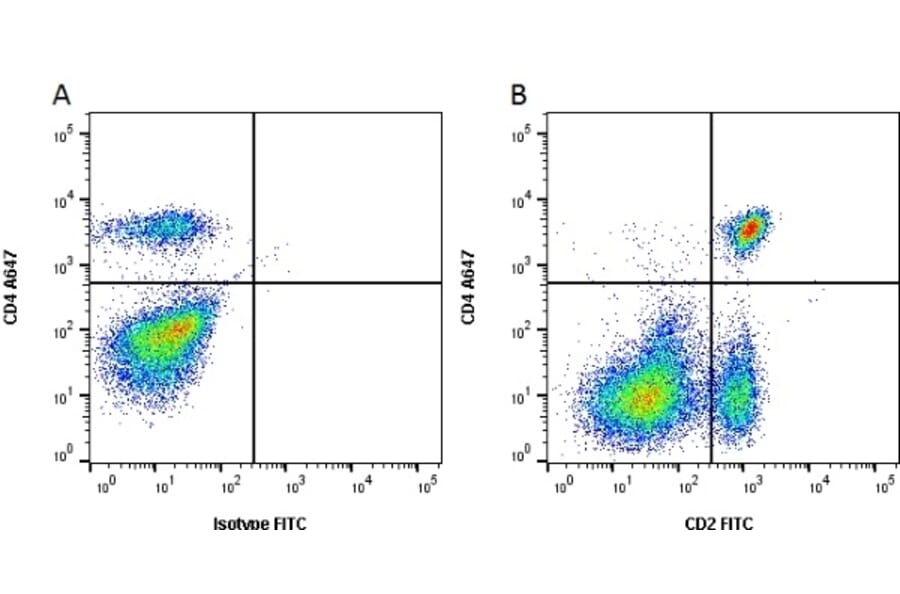 Flow Cytometry - Anti-CD2 Antibody [CC42] (FITC) (A280048) - Antibodies.com