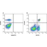 Flow Cytometry - Anti-CD2 Antibody [CC42] (FITC) (A280048) - Antibodies.com