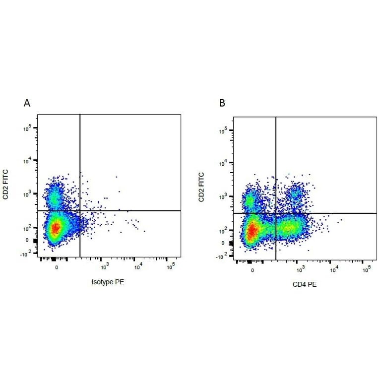 Flow Cytometry - Anti-CD2 Antibody [CC42] (FITC) (A280048) - Antibodies.com