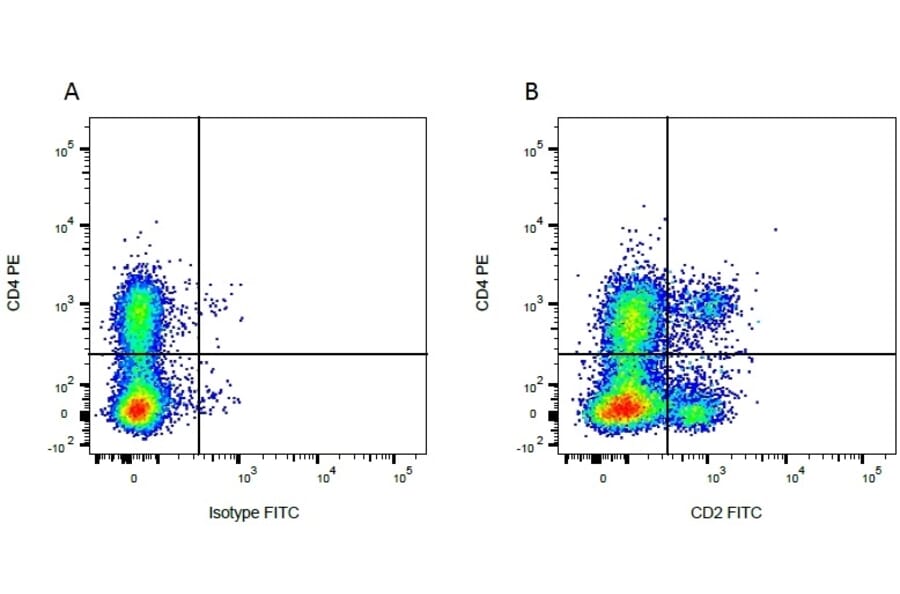 Flow Cytometry - Anti-CD2 Antibody [CC42] (FITC) (A280048) - Antibodies.com