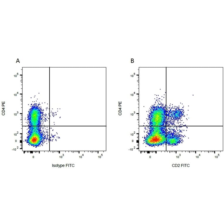 Flow Cytometry - Anti-CD2 Antibody [CC42] (FITC) (A280048) - Antibodies.com