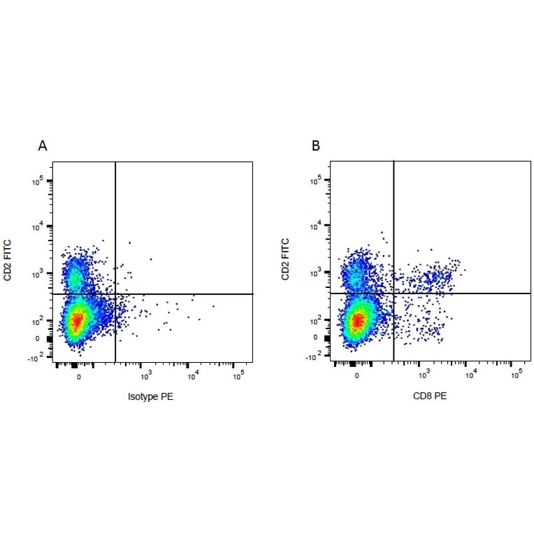 Flow Cytometry - Anti-CD2 Antibody [CC42] (FITC) (A280048) - Antibodies.com