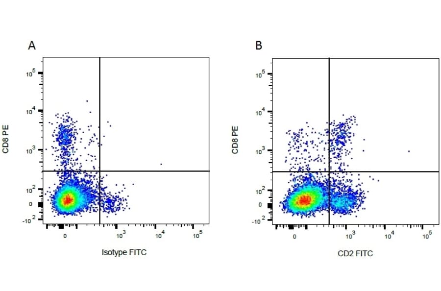 Flow Cytometry - Anti-CD2 Antibody [CC42] (FITC) (A280048) - Antibodies.com